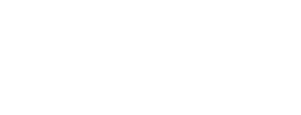 WANG Global Supply Chain